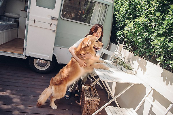 포토 JPG 주간 전신 한마리 여자 안기 한명 미소 사람 앉기 20대 성인 야외 앞모습 반려동물 캠핑 한국인 골든리트리버 강아지 캠핑카 반려 소풍바구니 성인여자한명만 펫팸족 국내포토 자연요소 동물 1 뷰포인트 모션 자동차 레저 표정 동양인 청년 바구니 개 리트리버 신조어 여자한명만 성인여자만 파일형식