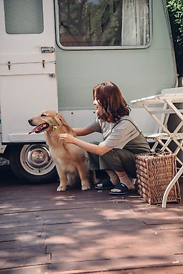 포토 JPG 주간 전신 한마리 여자 나뭇잎 한명 사람 앉기 20대 성인 야외 옆모습 반려동물 캠핑 한국인 골든리트리버 강아지 캠핑카 반려 소풍바구니 성인여자한명만 펫팸족 국내포토 자연요소 동물 1 뷰포인트 잎 모션 자동차 레저 동양인 청년 바구니 개 리트리버 신조어 여자한명만 성인여자만 파일형식