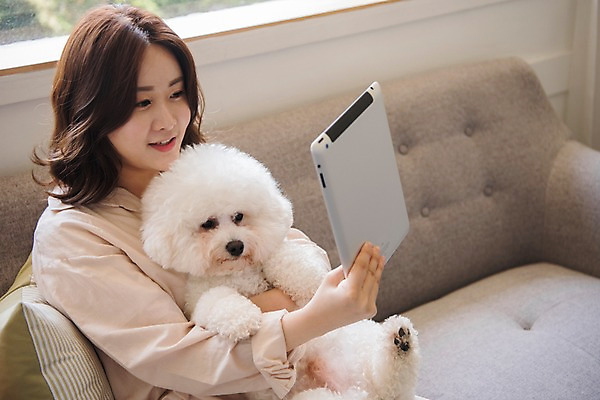 포토 JPG 주간 한마리 응시 여자 반려견 쿠션 거실 안기 실내 한명 미소 들기 사람 앉기 상반신 20대 성인 앞모습 공휴일 반려동물 소파 태블릿 다정 한국인 개 창가 반려 성인여자한명만 비숑프리제 펫팸족 국내포토 자연요소 동물 1 시선 기념일 뷰포인트 컨셉 의자 창문 포유류 모션 표정 동양인 청년 내부 전자제품 스마트기기 신조어 여자한명만 성인여자만 파일형식