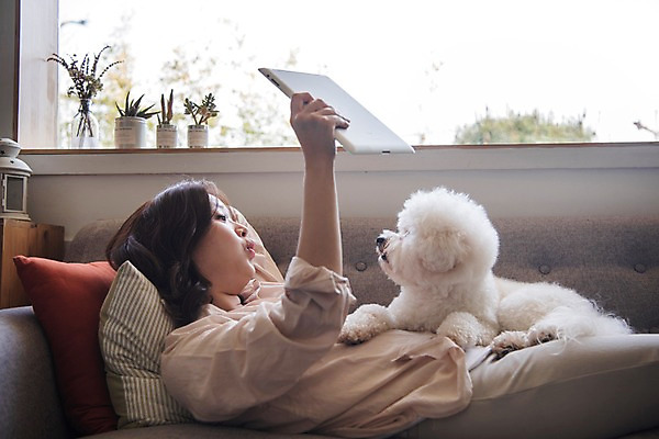 포토 JPG 주간 한마리 응시 여자 화분 반려견 쿠션 거실 휴식 실내 한명 사람 상반신 20대 성인 옆모습 공휴일 반려동물 태블릿 눕기 다정 한국인 개 창가 반려 성인여자한명만 비숑프리제 펫팸족 국내포토 자연요소 동물 1 시선 기념일 뷰포인트 컨셉 창문 포유류 모션 동양인 청년 내부 전자제품 스마트기기 신조어 여자한명만 성인여자만 파일형식