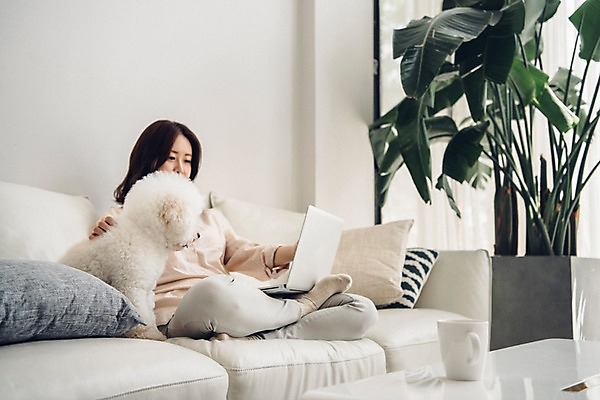 포토 JPG 전신 한마리 응시 여자 화분 반려견 쿠션 거실 탁자 실내 한명 사람 앉기 20대 성인 옆모습 노트북 공휴일 반려동물 소파 한국인 업무 기다림 개 물컵 재택근무 반려 성인여자한명만 비숑프리제 펫팸족 사회적거리두기 국내포토 동물 1 시선 기념일 캠페인 뷰포인트 가구 의자 비즈니스 포유류 모션 동양인 청년 내부 컵 전자제품 작업 신조어 여자한명만 성인여자만 파일형식
