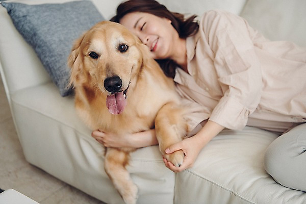 포토 JPG 한마리 여자 반려견 쿠션 거실 휴식 실내 한명 미소 사람 상반신 20대 성인 옆모습 공휴일 반려동물 소파 눕기 다정 한국인 잡기 개 골든리트리버 반려 앞발 성인여자한명만 펫팸족 국내포토 동물 1 기념일 뷰포인트 컨셉 의자 포유류 모션 표정 동양인 청년 내부 리트리버 신조어 여자한명만 성인여자만 파일형식