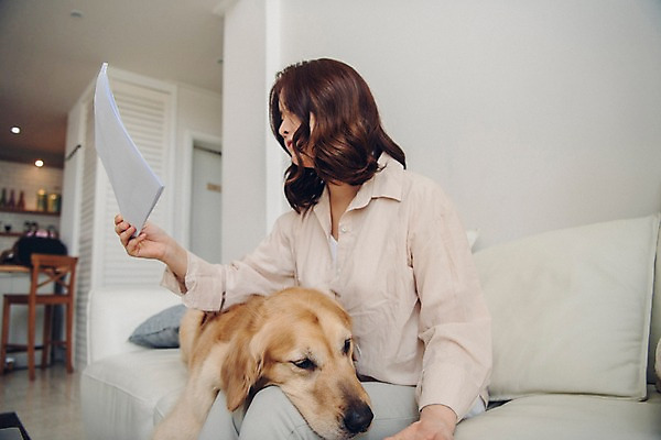 포토 JPG 한마리 응시 여자 반려견 거실 의자 가방 실내 한명 들기 사람 앉기 상반신 20대 성인 옆모습 공휴일 반려동물 소파 주방 한국인 업무 개 골든리트리버 문서 무릎베개 반려 성인여자한명만 펫팸족 국내포토 동물 1 시선 잡화 기념일 뷰포인트 가구 포유류 모션 동양인 청년 내부 작업 리트리버 신조어 여자한명만 성인여자만 파일형식