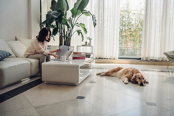 포토 JPG 주간 전신 한마리 응시 여자 화분 반려견 거실 탁자 바닥 실내 한명 사람 앉기 20대 성인 옆모습 노트북 공휴일 반려동물 소파 눕기 한국인 업무 커튼 기다림 개 골든리트리버 창가 문서 재택근무 반려 책더미 성인여자한명만 펫팸족 사회적거리두기 국내포토 자연요소 동물 1 시선 기념일 캠페인 뷰포인트 가구 의자 비즈니스 창문 포유류 모션 동양인 청년 내부 책 전자제품 작업 리트리버 신조어 무더기 여자한명만 성인여자만 파일형식