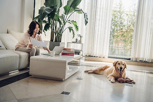 포토 JPG 주간 한마리 응시 여자 화분 반려견 인형 거실 탁자 바닥 실내 한명 미소 사람 앉기 상반신 20대 성인 옆모습 노트북 공휴일 반려동물 소파 장난감 한국인 커튼 기다림 개 골든리트리버 창가 반려 책더미 성인여자한명만 펫팸족 국내포토 자연요소 동물 1 시선 기념일 뷰포인트 가구 의자 창문 포유류 모션 표정 동양인 청년 내부 책 전자제품 리트리버 신조어 무더기 여자한명만 성인여자만 파일형식