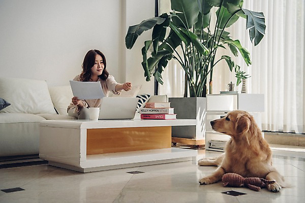포토 JPG 한마리 여자 화분 반려견 인형 거실 탁자 바닥 실내 한명 사람 앉기 상반신 20대 성인 옆모습 노트북 공휴일 반려동물 소파 장난감 한국인 커튼 뒤돌아보기 기다림 개 골든리트리버 창가 주기 문서 반려 책더미 성인여자한명만 펫팸족 국내포토 동물 1 기념일 뷰포인트 가구 의자 창문 포유류 모션 동양인 청년 내부 책 전자제품 리트리버 신조어 무더기 여자한명만 성인여자만 파일형식