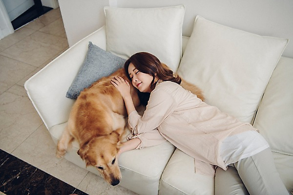 포토 JPG 한마리 여자 반려견 쿠션 거실 휴식 실내 한명 미소 사람 상반신 20대 성인 옆모습 공휴일 반려동물 소파 눕기 기댐 다정 한국인 잠 개 골든리트리버 반려 성인여자한명만 펫팸족 국내포토 동물 1 기념일 뷰포인트 컨셉 의자 포유류 모션 표정 동양인 청년 내부 리트리버 신조어 여자한명만 성인여자만 파일형식