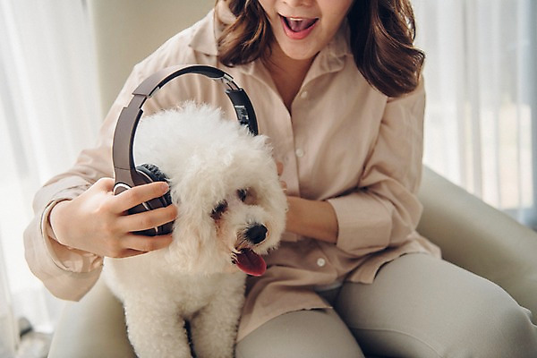 포토 JPG 한마리 여자 반려견 거실 휴식 실내 한명 미소 사람 앉기 상반신 20대 성인 앞모습 공휴일 반려동물 소파 헤드셋 다정 듣기 한국인 커튼 개 반려 성인여자한명만 비숑프리제 펫팸족 국내포토 동물 1 기념일 뷰포인트 음향기기 컨셉 의자 포유류 모션 표정 동양인 청년 내부 헤드폰 신조어 여자한명만 성인여자만 파일형식