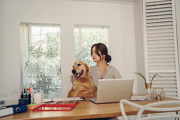 포토 JPG 주간 한마리 응시 여자 반려견 안기 색연필 실내 한명 사람 앉기 상반신 20대 성인 앞모습 노트북 반려동물 만지기 한국인 머그컵 업무 블라인드 개 골든리트리버 창가 책상 파일 연필꽂이 재택근무 반려 프리랜서 성인여자한명만 펫팸족 사회적거리두기 국내포토 자연요소 동물 직업 1 시선 캠페인 뷰포인트 가구 비즈니스 창문 포유류 모션 문구용품 학용품 동양인 청년 내부 컵 전자제품 작업 커튼 리트리버 신조어 여자한명만 성인여자만 파일형식