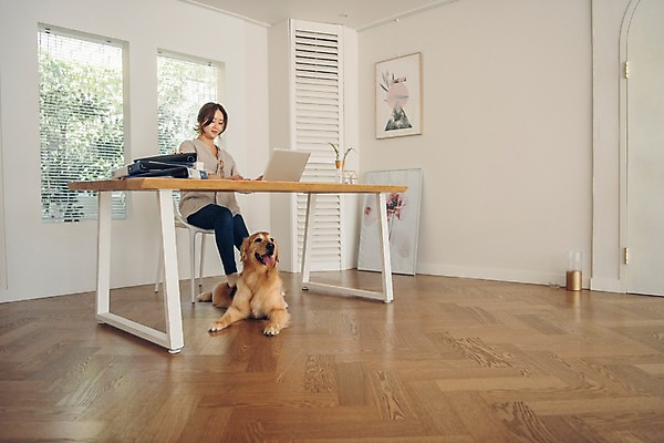 포토 JPG 주간 전신 한마리 여자 반려견 액자 실내 한명 사람 앉기 20대 성인 옆모습 노트북 반려동물 한국인 업무 블라인드 마루 기다림 개 골든리트리버 창가 책상 파일 재택근무 반려 프리랜서 성인여자한명만 펫팸족 사회적거리두기 국내포토 자연요소 동물 직업 1 캠페인 뷰포인트 가구 비즈니스 창문 포유류 모션 바닥 동양인 청년 내부 전자제품 작업 커튼 리트리버 신조어 여자한명만 성인여자만 파일형식