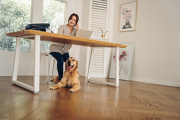 포토 JPG 주간 전신 한마리 응시 여자 반려견 의자 실내 한명 미소 사람 앉기 20대 성인 앞모습 노트북 반려동물 다정 한국인 업무 블라인드 마루 기다림 개 골든리트리버 창가 책상 파일 재택근무 반려 프리랜서 성인여자한명만 펫팸족 사회적거리두기 국내포토 자연요소 동물 직업 1 시선 캠페인 뷰포인트 가구 컨셉 비즈니스 창문 포유류 모션 바닥 표정 동양인 청년 내부 전자제품 작업 커튼 리트리버 신조어 여자한명만 성인여자만 파일형식