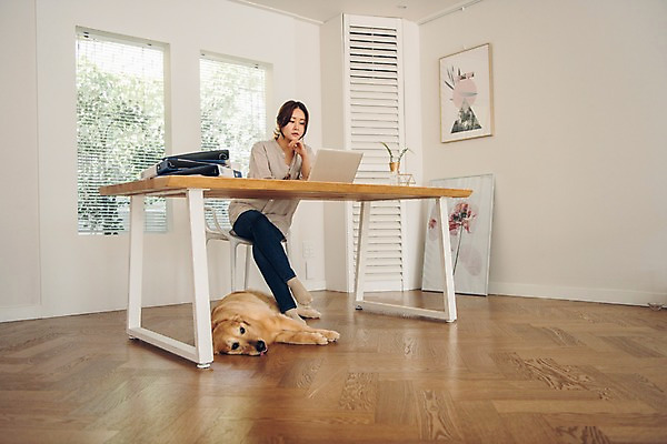 포토 JPG 주간 전신 한마리 여자 반려견 액자 생각 의자 실내 한명 사람 앉기 20대 성인 앞모습 노트북 반려동물 눕기 턱괴기 한국인 다리꼬기 업무 마루 기다림 개 골든리트리버 창가 책상 고민 파일 재택근무 반려 프리랜서 성인여자한명만 펫팸족 사회적거리두기 국내포토 자연요소 동물 직업 1 감정 캠페인 뷰포인트 가구 비즈니스 창문 포유류 모션 바닥 동양인 청년 내부 전자제품 작업 리트리버 신조어 여자한명만 성인여자만 파일형식