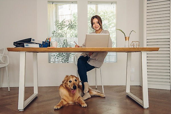 포토 JPG 주간 전신 한마리 응시 여자 반려견 실내 한명 미소 사람 앉기 20대 성인 앞모습 노트북 반려동물 펜 다정 한국인 머그컵 다리꼬기 기록 업무 블라인드 마루 기다림 개 골든리트리버 창가 책상 파일 연필꽂이 재택근무 반려 프리랜서 성인여자한명만 펫팸족 사회적거리두기 국내포토 자연요소 동물 직업 1 시선 캠페인 뷰포인트 가구 컨셉 비즈니스 창문 포유류 모션 문구용품 바닥 표정 동양인 청년 내부 컵 전자제품 필기구 작업 커튼 리트리버 신조어 여자한명만 성인여자만 파일형식
