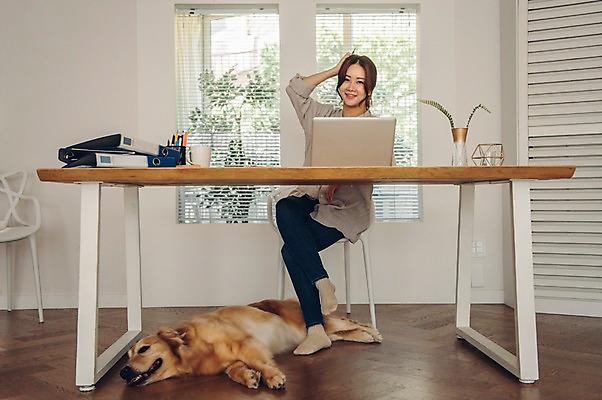 포토 JPG 주간 전신 한마리 응시 여자 반려견 의자 실내 한명 미소 사람 앉기 20대 성인 앞모습 노트북 반려동물 눕기 펜 다정 한국인 머그컵 다리꼬기 업무 마루 기다림 개 골든리트리버 책상 파일 재택근무 반려 프리랜서 성인여자한명만 펫팸족 사회적거리두기 국내포토 자연요소 동물 직업 1 시선 캠페인 뷰포인트 가구 컨셉 비즈니스 포유류 모션 바닥 표정 동양인 청년 내부 컵 전자제품 필기구 작업 리트리버 신조어 여자한명만 성인여자만 파일형식