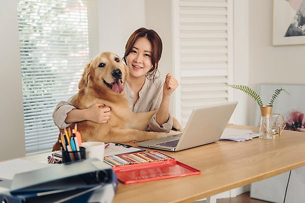 포토 JPG 주간 한마리 여자 반려견 액자 안기 색연필 실내 한명 미소 사람 앉기 상반신 20대 성인 앞모습 노트북 반려동물 다정 주먹 한국인 업무 블라인드 개 골든리트리버 창가 책상 연필꽂이 재택근무 방해 문서철 반려 프리랜서 성인여자한명만 펫팸족 국내포토 자연요소 동물 직업 1 뷰포인트 가구 컨셉 비즈니스 창문 포유류 모션 문구용품 학용품 표정 동양인 청년 내부 전자제품 작업 커튼 리트리버 신조어 여자한명만 성인여자만 파일형식