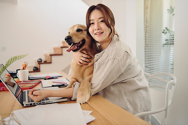 포토 JPG 한마리 응시 여자 반려견 안기 색연필 실내 한명 미소 사람 앉기 상반신 20대 성인 옆모습 노트북 반려동물 계단 다정 한국인 머그컵 업무 개 골든리트리버 책상 연필꽂이 재택근무 방해 문서철 반려 프리랜서 성인여자한명만 펫팸족 국내포토 동물 직업 1 시선 뷰포인트 가구 컨셉 비즈니스 포유류 모션 문구용품 학용품 표정 동양인 청년 내부 컵 전자제품 작업 리트리버 신조어 여자한명만 성인여자만 파일형식