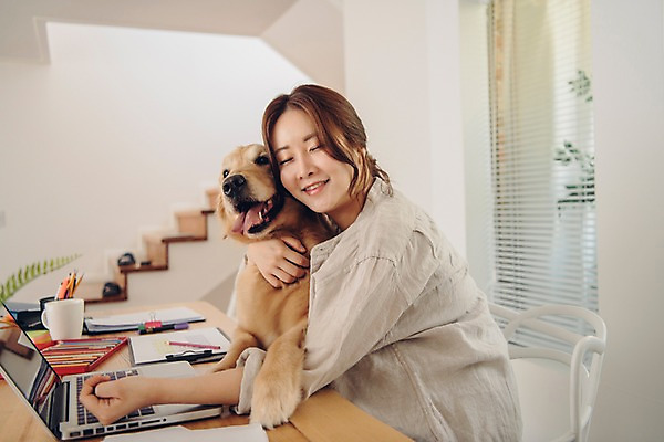 포토 JPG 한마리 여자 반려견 안기 색연필 실내 한명 미소 사람 앉기 상반신 20대 성인 옆모습 노트북 반려동물 계단 눈감음 다정 한국인 머그컵 업무 개 골든리트리버 창가 책상 연필꽂이 재택근무 방해 반려 프리랜서 성인여자한명만 펫팸족 국내포토 동물 직업 1 뷰포인트 가구 컨셉 비즈니스 창문 포유류 모션 문구용품 학용품 표정 동양인 청년 내부 컵 전자제품 작업 리트리버 신조어 여자한명만 성인여자만 파일형식