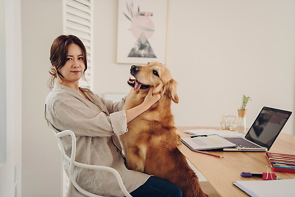 포토 JPG 한마리 여자 반려견 액자 색연필 실내 한명 사람 앉기 상반신 20대 성인 옆모습 노트북 반려동물 만지기 한국인 잡기 업무 찡그림 개 골든리트리버 책상 문서 재택근무 방해 꼬집기 반려 프리랜서 성인여자한명만 펫팸족 사회적거리두기 국내포토 동물 직업 1 캠페인 뷰포인트 가구 컨셉 비즈니스 포유류 모션 학용품 표정 동양인 청년 내부 전자제품 작업 리트리버 신조어 여자한명만 성인여자만 파일형식