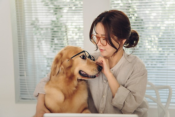 포토 JPG 주간 한마리 응시 여자 반려견 안경 실내 한명 사람 앉기 상반신 20대 성인 옆모습 노트북 반려동물 다정 만지기 한국인 블라인드 개 골든리트리버 창가 재택근무 반려 프리랜서 성인여자한명만 안경낌 펫팸족 사회적거리두기 국내포토 자연요소 동물 직업 1 시선 잡화 캠페인 뷰포인트 컨셉 비즈니스 창문 포유류 모션 동양인 청년 내부 전자제품 커튼 리트리버 신조어 여자한명만 성인여자만 파일형식