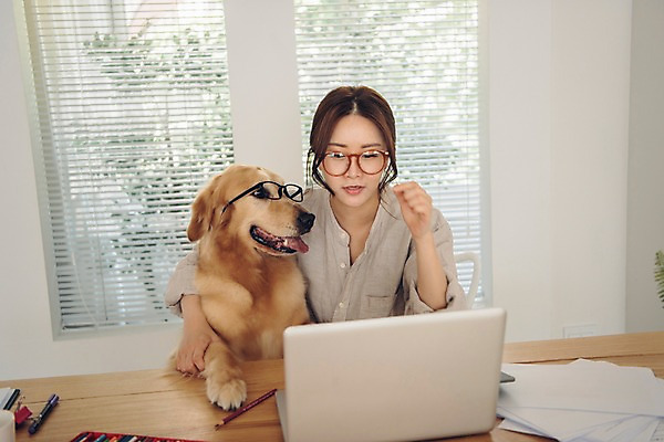 포토 JPG 주간 한마리 응시 여자 화분 반려견 실내 한명 사람 앉기 상반신 20대 성인 앞모습 노트북 반려동물 한국인 업무 블라인드 개 골든리트리버 창가 책상 문서 재택근무 방해 반려 프리랜서 성인여자한명만 안경낌 펫팸족 사회적거리두기 국내포토 자연요소 동물 직업 1 시선 안경 캠페인 뷰포인트 가구 컨셉 비즈니스 창문 포유류 모션 동양인 청년 내부 전자제품 작업 커튼 리트리버 신조어 여자한명만 성인여자만 파일형식