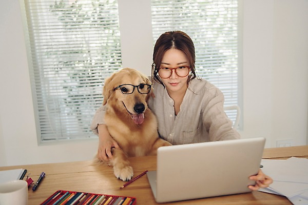 포토 JPG 주간 한마리 응시 여자 반려견 색연필 실내 한명 사람 앉기 상반신 20대 성인 앞모습 노트북 반려동물 다정 한국인 업무 블라인드 개 골든리트리버 창가 책상 문서 재택근무 방해 반려 프리랜서 성인여자한명만 안경낌 펫팸족 국내포토 자연요소 동물 직업 1 시선 안경 뷰포인트 가구 컨셉 비즈니스 창문 포유류 모션 학용품 동양인 청년 내부 전자제품 작업 커튼 리트리버 신조어 여자한명만 성인여자만 파일형식