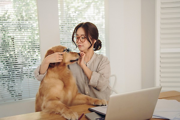 포토 JPG 주간 한마리 여자 반려견 안경 실내 한명 사람 앉기 상반신 20대 성인 앞모습 노트북 반려동물 다정 한국인 업무 블라인드 개 골든리트리버 창가 책상 문서 재택근무 반려 프리랜서 성인여자한명만 안경낌 펫팸족 국내포토 자연요소 동물 직업 1 잡화 뷰포인트 가구 컨셉 비즈니스 창문 포유류 모션 동양인 청년 내부 전자제품 작업 커튼 리트리버 신조어 여자한명만 성인여자만 파일형식
