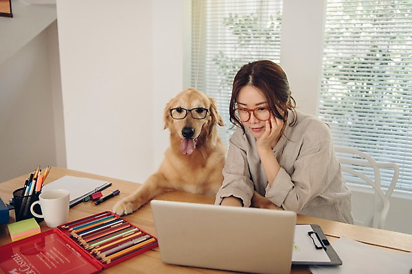 포토 JPG 주간 한마리 응시 여자 반려견 색연필 실내 한명 미소 사람 앉기 상반신 20대 성인 앞모습 노트북 반려동물 턱괴기 한국인 머그컵 업무 개 골든리트리버 창가 책상 문서 연필꽂이 재택근무 방해 반려 프리랜서 성인여자한명만 안경낌 펫팸족 국내포토 자연요소 동물 직업 1 시선 안경 뷰포인트 가구 컨셉 비즈니스 창문 포유류 모션 문구용품 학용품 표정 동양인 청년 내부 컵 전자제품 작업 리트리버 신조어 여자한명만 성인여자만 파일형식