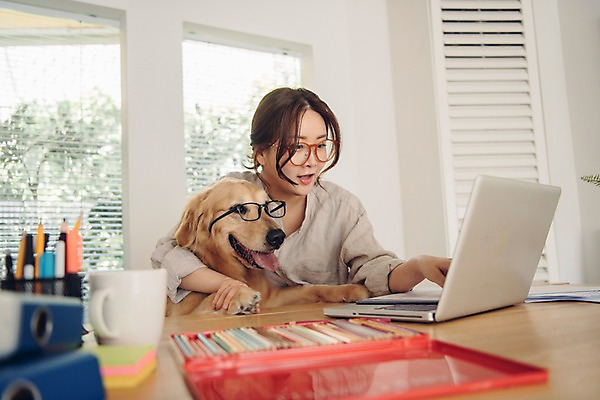 포토 JPG 주간 한마리 응시 여자 반려견 색연필 실내 한명 사람 앉기 상반신 20대 성인 앞모습 노트북 반려동물 한국인 머그컵 업무 개 골든리트리버 책상 재택근무 방해 반려 프리랜서 성인여자한명만 안경낌 펫팸족 사회적거리두기 국내포토 자연요소 동물 직업 1 시선 안경 캠페인 뷰포인트 가구 컨셉 비즈니스 포유류 모션 학용품 동양인 청년 내부 컵 전자제품 작업 리트리버 신조어 여자한명만 성인여자만 파일형식