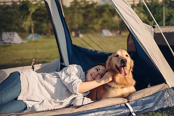 포토 JPG 주간 한마리 공원 여자 텐트 한명 미소 사람 잔디 상반신 20대 성인 야외 옆모습 반려동물 눕기 소풍 한국인 잡기 골든리트리버 강아지 반려 성인여자한명만 펫팸족 국내포토 자연요소 식물 동물 1 공공시설 뷰포인트 모션 표정 캠핑도구 동양인 청년 야외활동 개 리트리버 신조어 여자한명만 성인여자만 파일형식