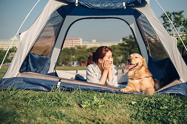 포토 JPG 주간 한마리 공원 여자 엎드리기 텐트 한명 미소 사람 잔디 상반신 20대 성인 야외 앞모습 반려동물 소풍 턱괴기 한국인 골든리트리버 강아지 반려 성인여자한명만 펫팸족 국내포토 자연요소 식물 동물 1 공공시설 뷰포인트 모션 표정 캠핑도구 동양인 청년 야외활동 개 리트리버 신조어 여자한명만 성인여자만 파일형식