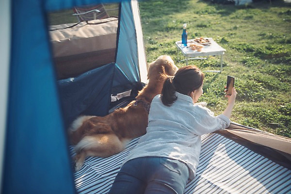 포토 JPG 주간 한마리 공원 여자 음료 엎드리기 텐트 한명 사람 잔디 상반신 20대 성인 야외 뒷모습 반려동물 소풍 한국인 골든리트리버 강아지 셀프카메라 반려 성인여자한명만 펫팸족 국내포토 자연요소 식물 동물 1 공공시설 뷰포인트 모션 캠핑도구 동양인 청년 야외활동 사진촬영 개 리트리버 신조어 여자한명만 성인여자만 파일형식