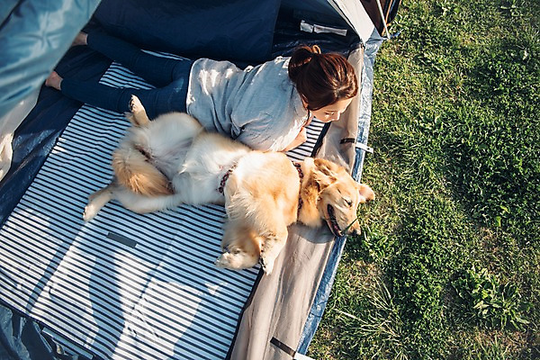포토 JPG 주간 전신 한마리 공원 여자 엎드리기 텐트 한명 사람 잔디 20대 성인 야외 옆모습 반려동물 하이앵글 눕기 소풍 한국인 골든리트리버 강아지 반려 성인여자한명만 펫팸족 국내포토 자연요소 식물 동물 1 공공시설 뷰포인트 모션 캠핑도구 동양인 청년 야외활동 개 리트리버 신조어 여자한명만 성인여자만 파일형식