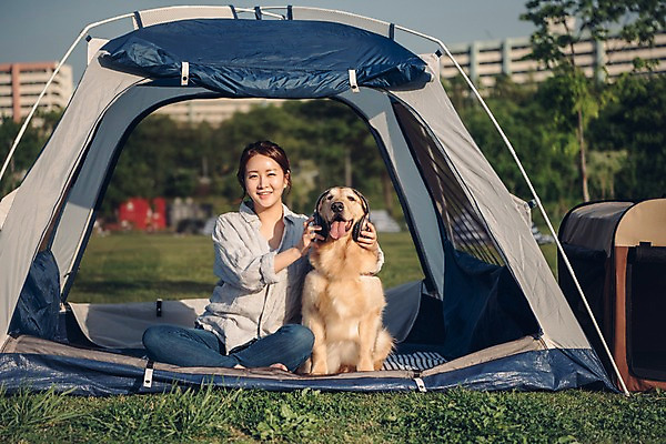 포토 JPG 주간 전신 한마리 공원 여자 텐트 한명 미소 사람 앉기 잔디 20대 성인 야외 앞모습 반려동물 소풍 헤드셋 한국인 잡기 골든리트리버 강아지 끼우기 반려 성인여자한명만 펫팸족 국내포토 자연요소 식물 동물 1 공공시설 뷰포인트 음향기기 모션 표정 캠핑도구 동양인 청년 야외활동 헤드폰 개 리트리버 신조어 여자한명만 성인여자만 파일형식