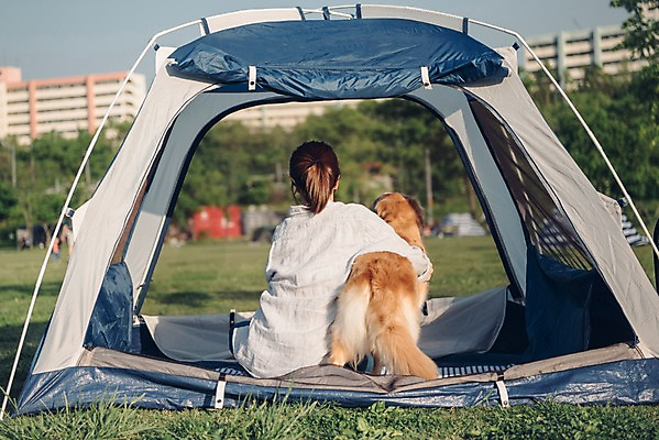 포토 JPG 주간 한마리 공원 여자 안기 텐트 한명 사람 앉기 잔디 초원 상반신 20대 성인 야외 뒷모습 반려동물 소풍 한국인 골든리트리버 강아지 반려 성인여자한명만 펫팸족 국내포토 자연요소 식물 동물 1 공공시설 뷰포인트 모션 캠핑도구 동양인 청년 야외활동 개 리트리버 신조어 여자한명만 성인여자만 파일형식