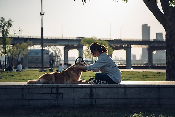포토 자연요소 식물 동물 1 공공시설 뷰포인트 음향기기 모션 서울 표정 사람 앉기 동양인 청년 반려동물 야외활동 헤드폰 개 리트리버 신조어 랜드마크 여자한명만 성인여자만 파일형식 20대 성인여자한명만 한국인 성인 한명 여자 옆모습 JPG 잔디 가로등 소풍 한강 미소 헤드셋 듣기 마주앉기 전신 한마리 강아지 주간 야외 골든리트리버 펫팸족 반려 국내포토
