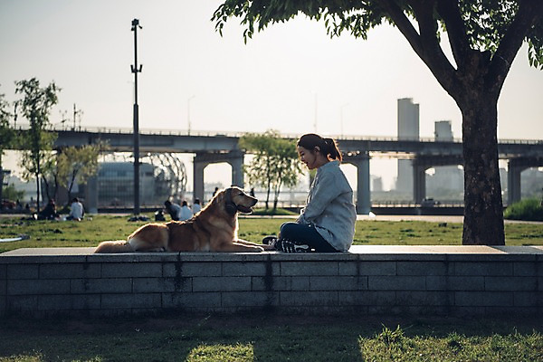 포토 JPG 주간 전신 한마리 여자 한명 미소 사람 앉기 잔디 20대 성인 야외 옆모습 반려동물 소풍 한국인 골든리트리버 강아지 한강 마주앉기 반려 성인여자한명만 펫팸족 국내포토 자연요소 식물 동물 1 뷰포인트 모션 서울 표정 동양인 청년 야외활동 개 리트리버 신조어 랜드마크 여자한명만 성인여자만 파일형식