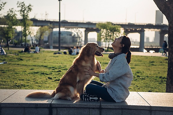 포토 JPG 주간 전신 한마리 여자 한명 미소 사람 앉기 잔디 20대 성인 야외 옆모습 반려동물 소풍 헤드셋 한국인 올려보기 잡기 골든리트리버 강아지 한강 마주앉기 반려 성인여자한명만 펫팸족 국내포토 자연요소 식물 동물 1 뷰포인트 음향기기 모션 서울 표정 동양인 청년 야외활동 헤드폰 개 리트리버 신조어 랜드마크 여자한명만 성인여자만 파일형식