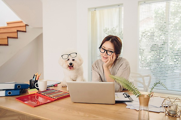 포토 JPG 주간 한마리 응시 여자 반려견 색연필 실내 한명 사람 앉기 상반신 20대 성인 앞모습 노트북 반려동물 턱괴기 한국인 머그컵 업무 개 창가 책상 문서 파일 연필꽂이 재택근무 방해 반려 프리랜서 성인여자한명만 안경낌 비숑프리제 펫팸족 사회적거리두기 국내포토 자연요소 동물 직업 1 시선 안경 캠페인 뷰포인트 가구 컨셉 비즈니스 창문 포유류 모션 문구용품 학용품 동양인 청년 내부 컵 전자제품 작업 신조어 여자한명만 성인여자만 파일형식