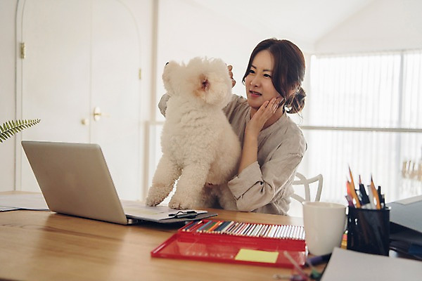 포토 JPG 주간 한마리 여자 반려견 색연필 실내 한명 사람 앉기 상반신 20대 성인 앞모습 노트북 반려동물 한국인 머그컵 업무 찡그림 개 책상 연필꽂이 재택근무 방해 반려 프리랜서 성인여자한명만 비숑프리제 펫팸족 사회적거리두기 국내포토 자연요소 동물 직업 1 캠페인 뷰포인트 가구 컨셉 비즈니스 포유류 모션 문구용품 학용품 표정 동양인 청년 내부 컵 전자제품 작업 신조어 여자한명만 성인여자만 파일형식
