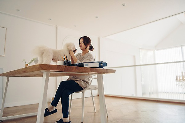 포토 JPG 주간 전신 한마리 응시 여자 반려견 실내 한명 사람 앉기 20대 성인 옆모습 반려동물 마주보기 만지기 한국인 다리꼬기 업무 개 책상 파일 재택근무 방해 반려 프리랜서 성인여자한명만 비숑프리제 펫팸족 사회적거리두기 국내포토 자연요소 동물 직업 1 시선 캠페인 뷰포인트 가구 컨셉 비즈니스 포유류 모션 동양인 청년 내부 작업 신조어 여자한명만 성인여자만 파일형식