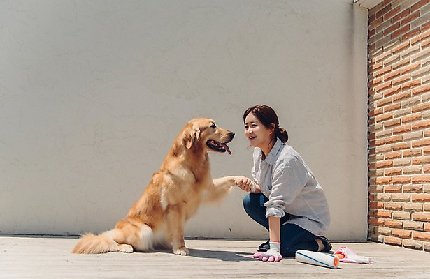포토 JPG 주간 전신 한마리 여자 벽 벽돌 한명 미소 사람 앉기 20대 성인 야외 옆모습 반려동물 마주보기 한국인 잡기 페인트칠 골든리트리버 강아지 페인트롤러 웅크림 목장갑 반려 성인여자한명만 펫팸족 국내포토 자연요소 동물 1 뷰포인트 장갑 모션 페인팅 표정 동양인 청년 개 리트리버 신조어 여자한명만 성인여자만 파일형식