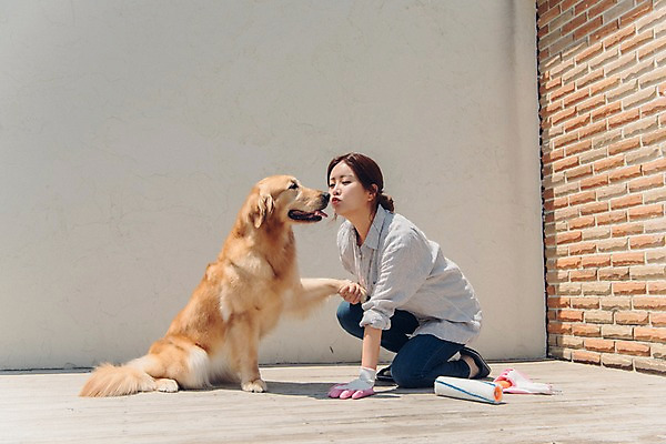 포토 JPG 주간 전신 한마리 여자 벽 벽돌 키스 한명 사람 앉기 20대 성인 야외 옆모습 반려동물 한국인 잡기 페인트칠 골든리트리버 강아지 페인트롤러 웅크림 목장갑 반려 성인여자한명만 펫팸족 국내포토 자연요소 동물 1 뷰포인트 장갑 모션 페인팅 동양인 청년 개 리트리버 애정표현 신조어 여자한명만 성인여자만 파일형식