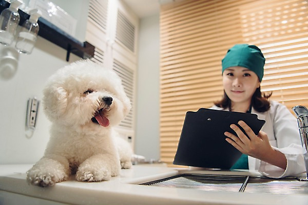 포토 JPG 한마리 여자 반려견 실내 한명 미소 들기 사람 앉기 상반신 20대 성인 앞모습 반려동물 진료 한국인 의사가운 개 수술복 동물병원 수의사 반려 서류판 진료기록부 진찰가방 성인여자한명만 비숑프리제 펫팸족 국내포토 동물 1 뷰포인트 포유류 의학 모션 표정 병원 동양인 청년 내부 사무용품 의사 가운 신조어 여자한명만 성인여자만 파일형식