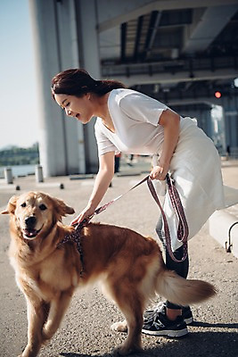 포토 JPG 주간 전신 한마리 여자 허리숙이기 한명 미소 사람 20대 성인 야외 옆모습 반려동물 강 한국인 잡기 보행로 골든리트리버 강아지 목줄 반려 성인여자한명만 펫팸족 국내포토 자연요소 동물 1 길 뷰포인트 모션 표정 숙이기 동양인 청년 개 리트리버 신조어 여자한명만 성인여자만 파일형식 반려용품