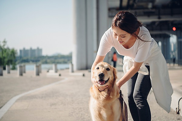 포토 JPG 주간 전신 한마리 여자 한명 미소 사람 20대 성인 야외 앞모습 반려동물 강 운동 산책 만지기 한국인 보행로 골든리트리버 강아지 반려 성인여자한명만 펫팸족 국내포토 자연요소 동물 1 길 뷰포인트 모션 휴식 표정 건강 동양인 청년 개 리트리버 신조어 여자한명만 성인여자만 파일형식