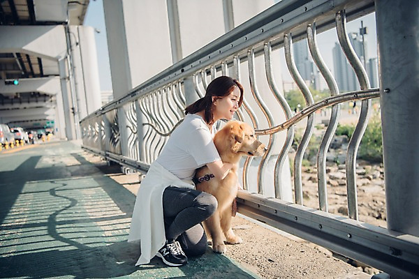 포토 JPG 주간 전신 한마리 여자 난간 안기 한명 미소 사람 앉기 20대 성인 야외 옆모습 반려동물 차도 한국인 보행로 골든리트리버 강아지 웅크림 반려 성인여자한명만 펫팸족 국내포토 자연요소 동물 1 도로 길 뷰포인트 모션 표정 동양인 청년 개 리트리버 신조어 여자한명만 성인여자만 파일형식