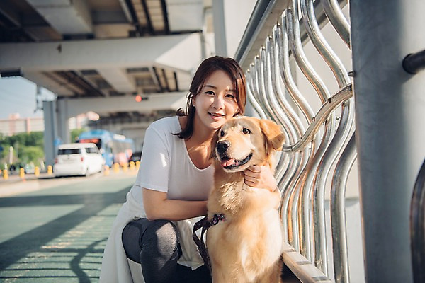 포토 JPG 주간 전신 한마리 여자 난간 자동차 한명 미소 사람 앉기 20대 성인 야외 앞모습 반려동물 차도 한국인 골든리트리버 강아지 웅크림 반려 성인여자한명만 펫팸족 국내포토 자연요소 동물 1 도로 육상교통 뷰포인트 모션 표정 동양인 청년 개 리트리버 신조어 여자한명만 성인여자만 파일형식