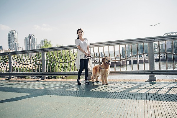 포토 JPG 주간 전신 한마리 여자 난간 한명 서기 미소 사람 20대 성인 야외 앞모습 반려동물 강 한국인 잡기 골든리트리버 강아지 목줄 반려 선박 성인여자한명만 펫팸족 국내포토 자연요소 동물 1 뷰포인트 수상교통 모션 표정 동양인 청년 개 리트리버 신조어 여자한명만 성인여자만 파일형식 반려용품