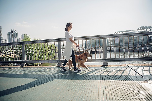 포토 JPG 주간 전신 한마리 건축물 여자 난간 한명 사람 20대 성인 야외 옆모습 반려동물 강 운동 걷기 한국인 잡기 보행로 골든리트리버 강아지 목줄 반려 성인여자한명만 펫팸족 국내포토 자연요소 동물 1 건축 길 뷰포인트 모션 건강 동양인 청년 개 리트리버 신조어 여자한명만 성인여자만 파일형식 반려용품
