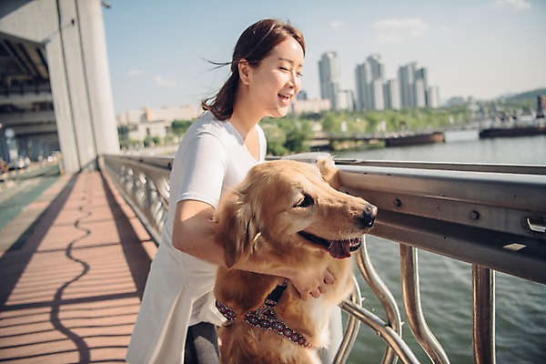 포토 JPG 주간 한마리 여자 난간 안기 한명 미소 사람 상반신 20대 성인 야외 옆모습 반려동물 강 한국인 골든리트리버 강아지 반려 성인여자한명만 펫팸족 국내포토 자연요소 동물 1 뷰포인트 모션 표정 동양인 청년 개 리트리버 신조어 여자한명만 성인여자만 파일형식